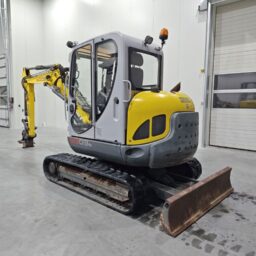 Wacker Neuson 6003 1